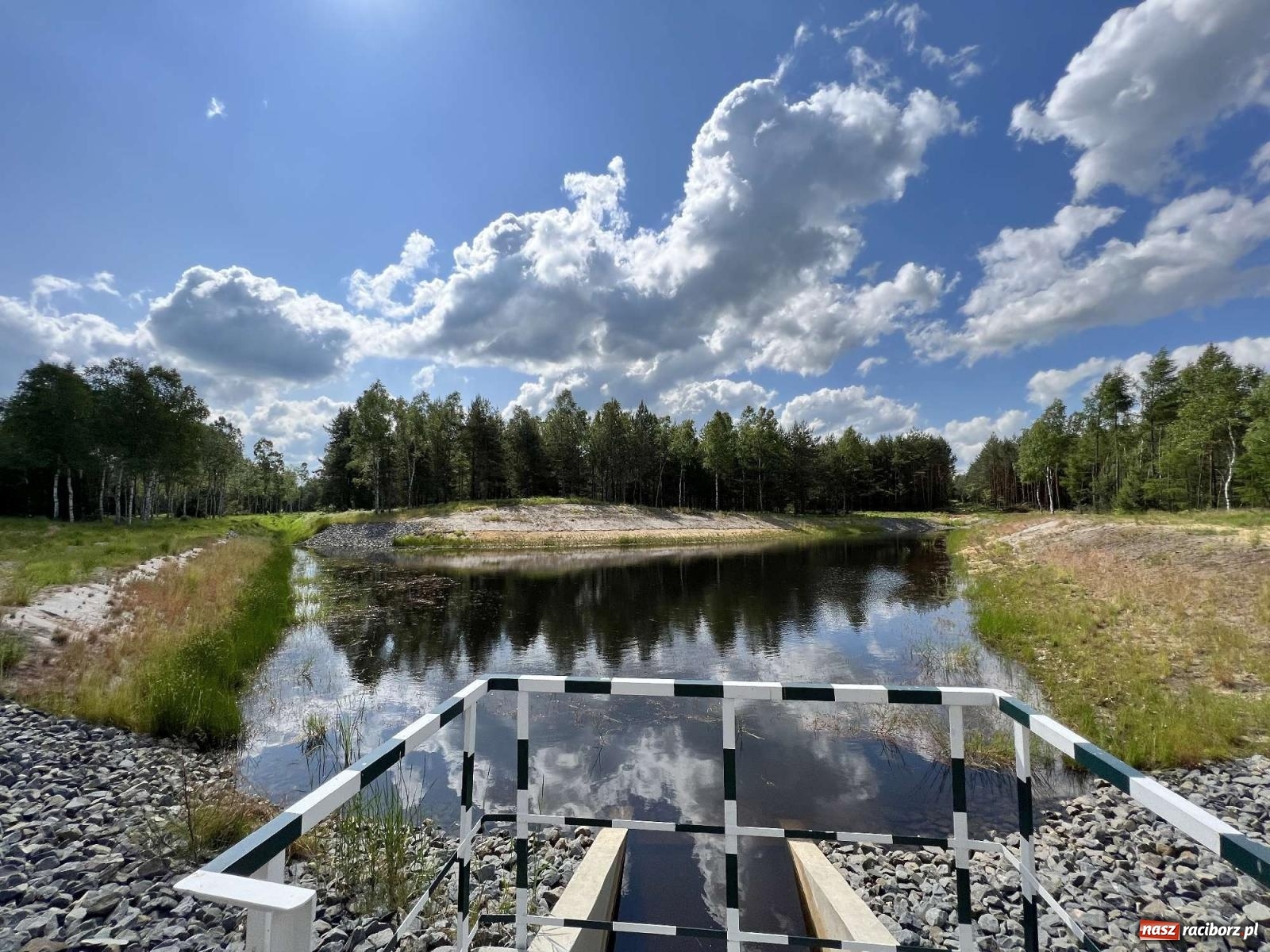 Zdjęcie w galerii na portalu naszraciborz.pl: Lasy raciborskie z małą retencją. Dla bezpieczeństwa i przyrody [FOTO i WIDEO] wiadomości z regionu