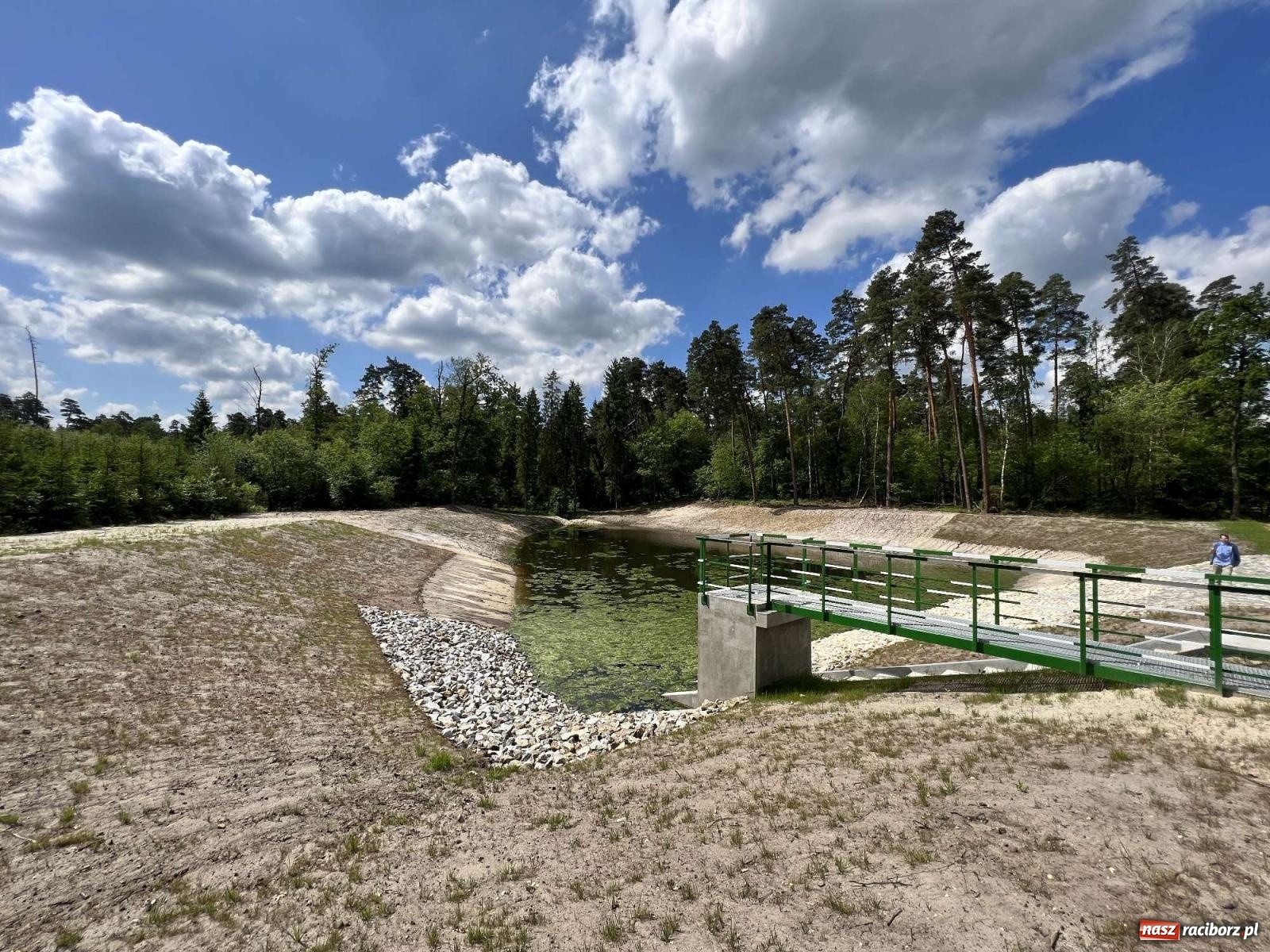 Zdjęcie w galerii na portalu naszraciborz.pl: Lasy raciborskie z małą retencją. Dla bezpieczeństwa i przyrody [FOTO i WIDEO] wiadomości z regionu