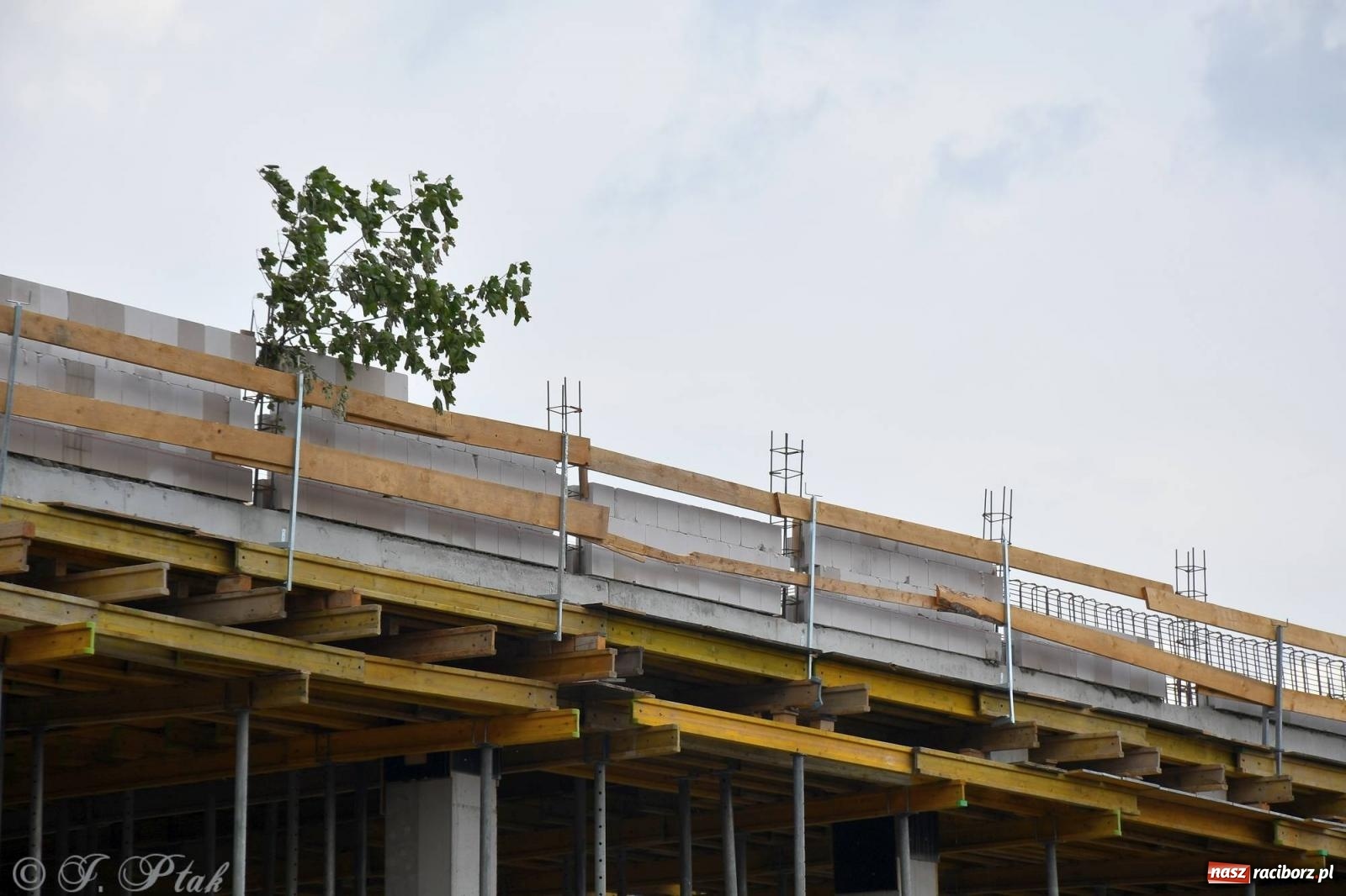 Zdjęcie w galerii na portalu naszraciborz.pl: Wiecha na budynku nowego raciborskiego dworca. Pierwszy etap budowy za nami wiadomości z regionu