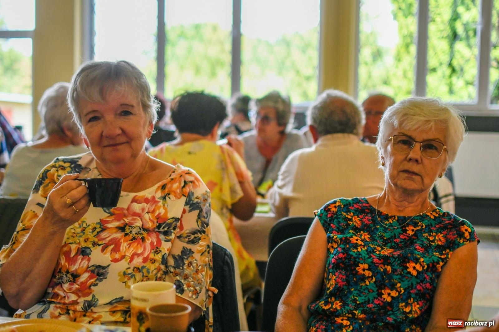 Zdjęcie w galerii na portalu naszraciborz.pl: Lekarze zalecają naukę w uniwersytecie trzeciego wieku. Raciborski zakończył rok akademicki wiadomości z regionu