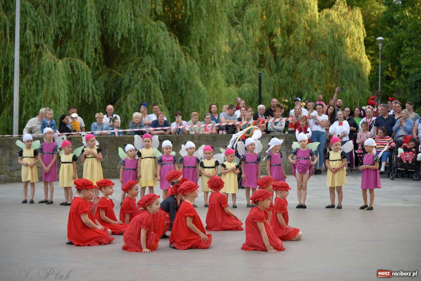 Zdjęcie w galerii na portalu naszraciborz.pl: Raciborska Noc Świętojańska - barwne widowisko nad wodą [FOTO i WIDEO] wiadomości z regionu