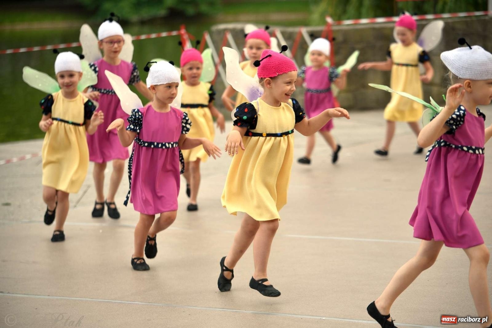 Zdjęcie w galerii na portalu naszraciborz.pl: Raciborska Noc Świętojańska - barwne widowisko nad wodą [FOTO i WIDEO] wiadomości z regionu