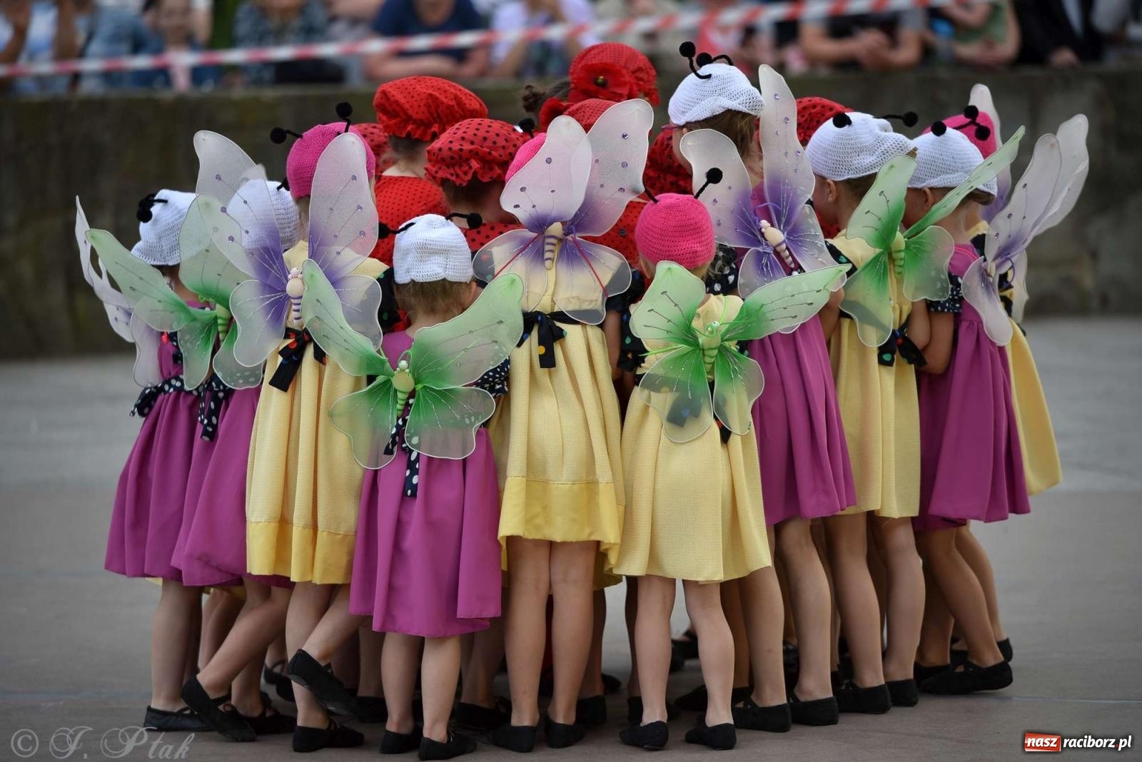 Zdjęcie w galerii na portalu naszraciborz.pl: Raciborska Noc Świętojańska - barwne widowisko nad wodą [FOTO i WIDEO] wiadomości z regionu