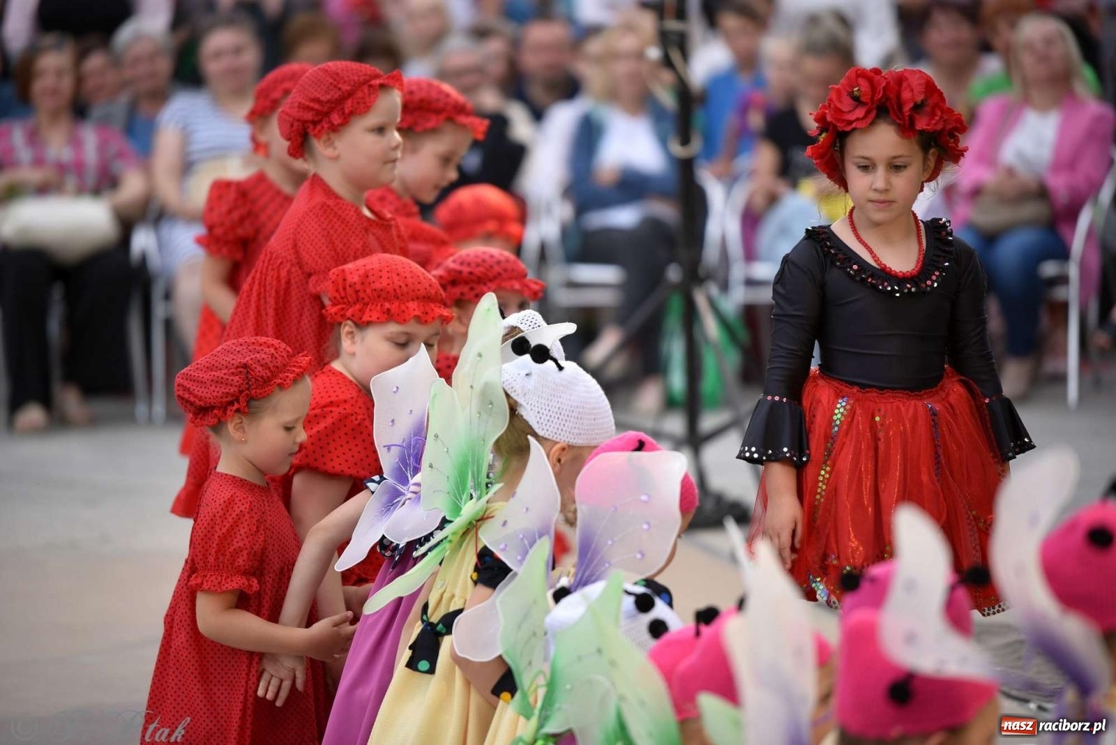 Zdjęcie w galerii na portalu naszraciborz.pl: Raciborska Noc Świętojańska - barwne widowisko nad wodą [FOTO i WIDEO] wiadomości z regionu