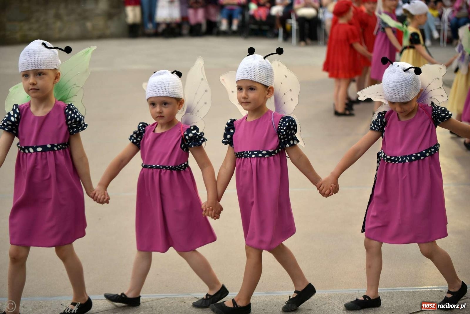 Zdjęcie w galerii na portalu naszraciborz.pl: Raciborska Noc Świętojańska - barwne widowisko nad wodą [FOTO i WIDEO] wiadomości z regionu