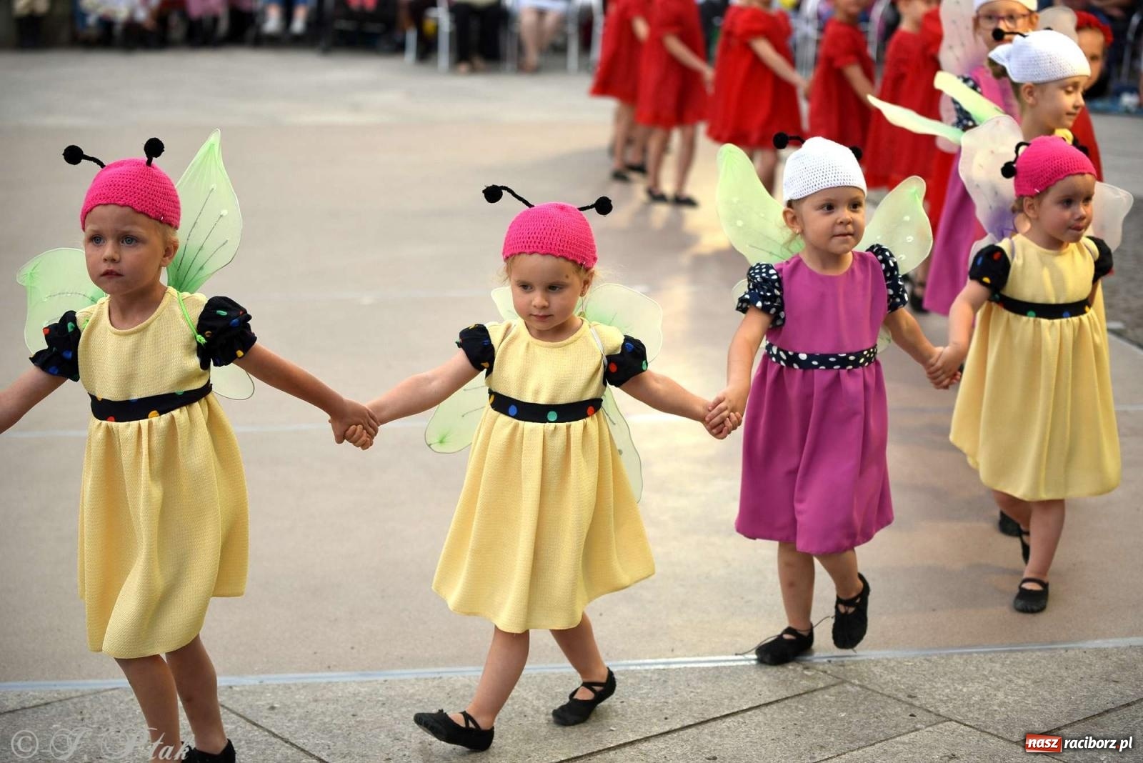 Zdjęcie w galerii na portalu naszraciborz.pl: Raciborska Noc Świętojańska - barwne widowisko nad wodą [FOTO i WIDEO] wiadomości z regionu