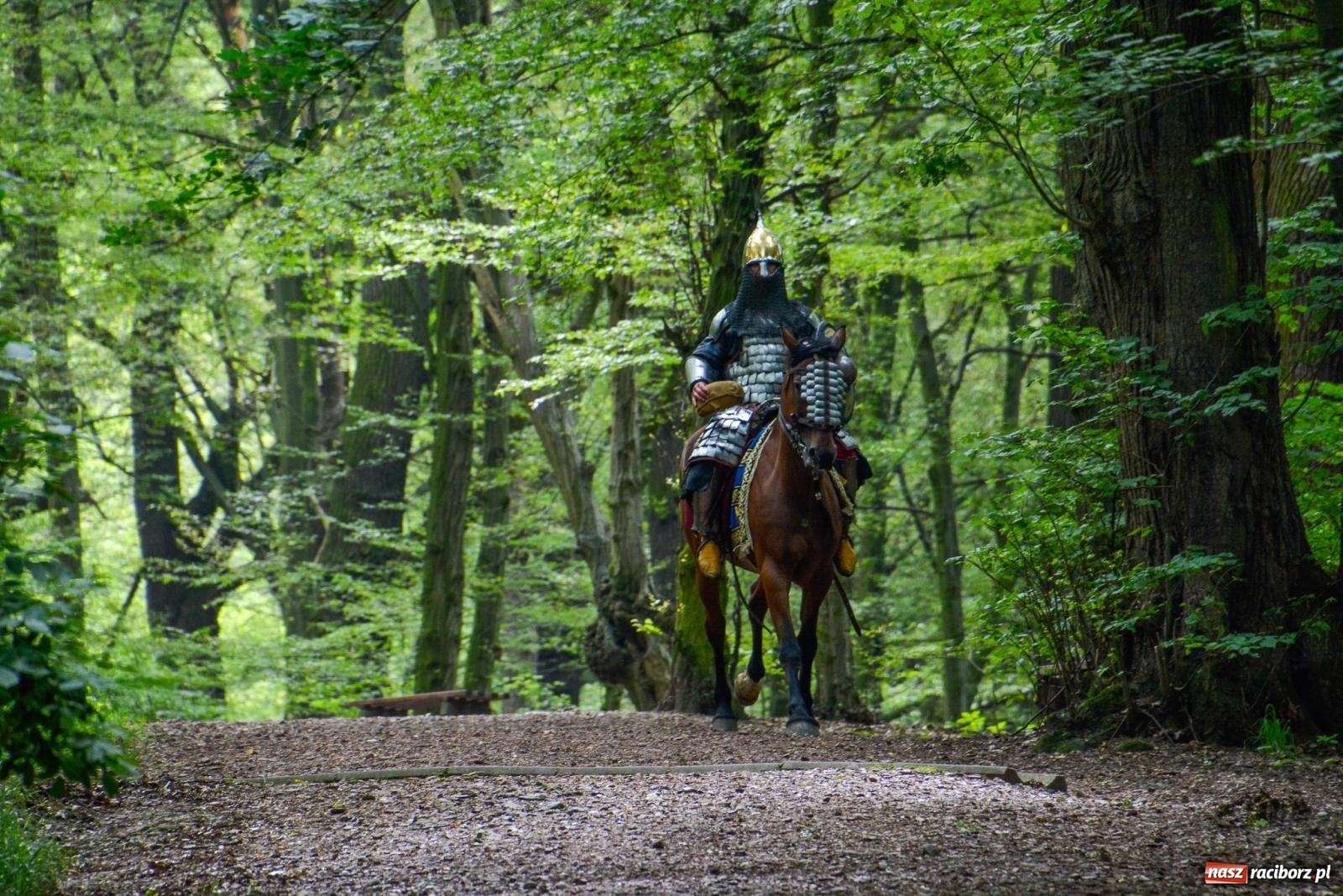 Zdjęcie w galerii na portalu naszraciborz.pl: Manewry średniowiecznych wojów w lesie Obora [FOTO i WIDEO] wiadomości z regionu