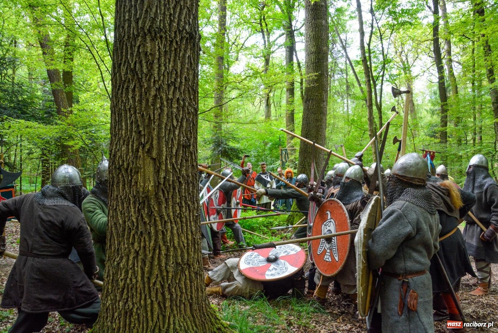 Zdjęcie w galerii na portalu naszraciborz.pl: Manewry średniowiecznych wojów w lesie Obora [FOTO i WIDEO] wiadomości z regionu