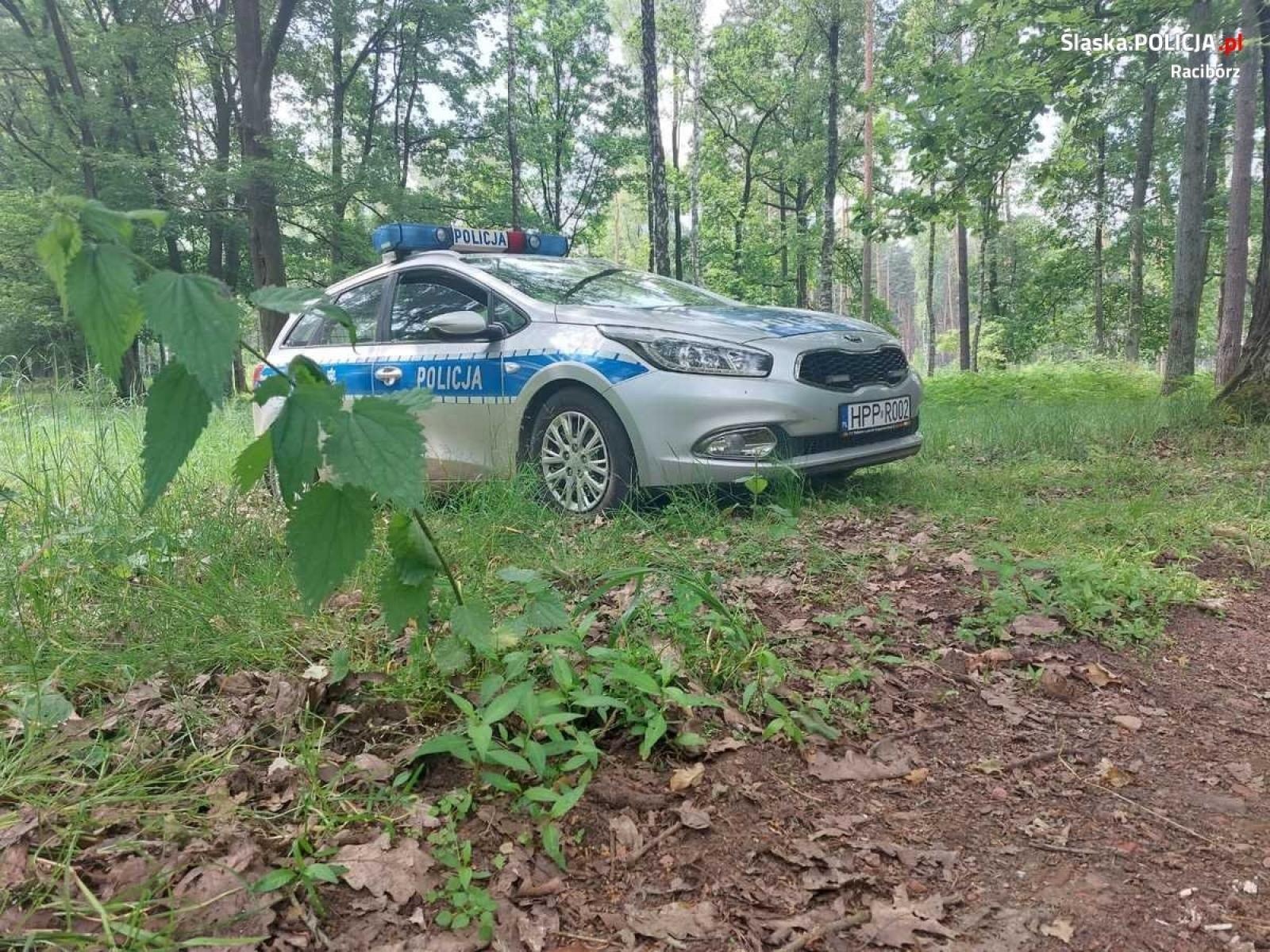 Zdjęcie w galerii na portalu naszraciborz.pl: Groźne znalezisko w kuźniańskim lesie wiadomości z regionu