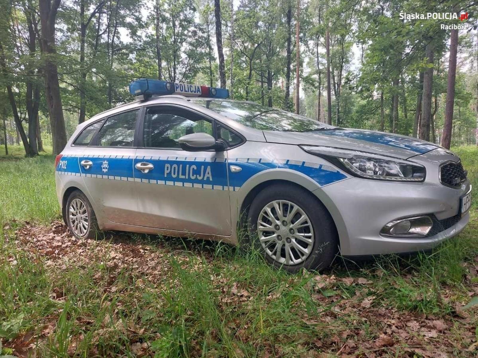 Zdjęcie w galerii na portalu naszraciborz.pl: Groźne znalezisko w kuźniańskim lesie wiadomości z regionu