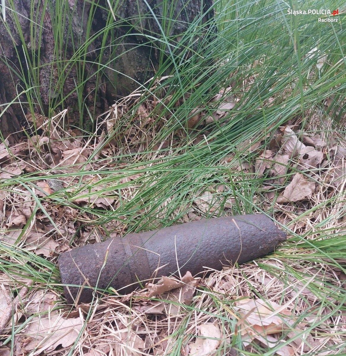 Zdjęcie w galerii na portalu naszraciborz.pl: Groźne znalezisko w kuźniańskim lesie wiadomości z regionu