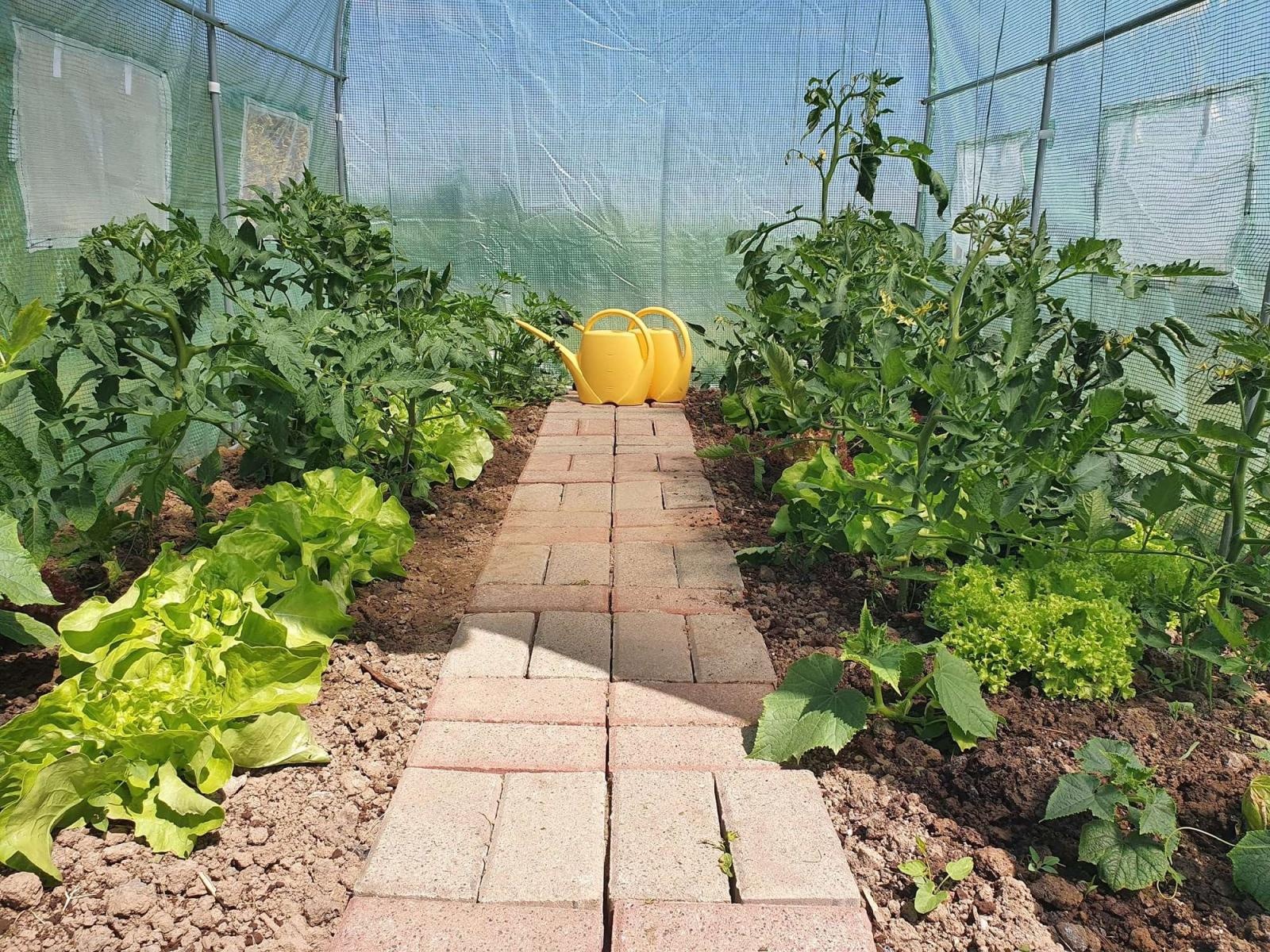 Zdjęcie w galerii na portalu naszraciborz.pl: Innowacja pedagogiczna w rudnickim przedszkolu wiadomości z regionu