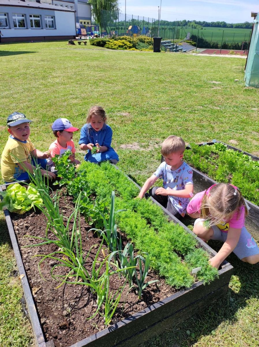 Zdjęcie w galerii na portalu naszraciborz.pl: Innowacja pedagogiczna w rudnickim przedszkolu wiadomości z regionu