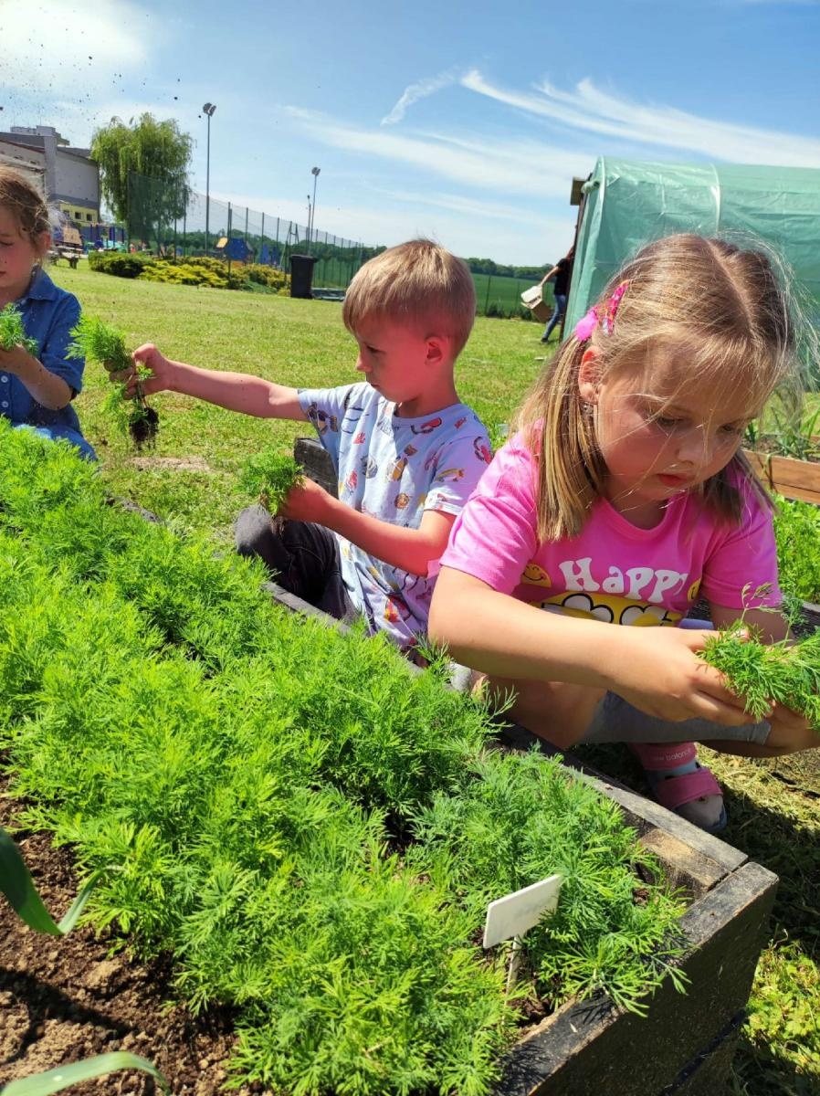 Zdjęcie w galerii na portalu naszraciborz.pl: Innowacja pedagogiczna w rudnickim przedszkolu wiadomości z regionu