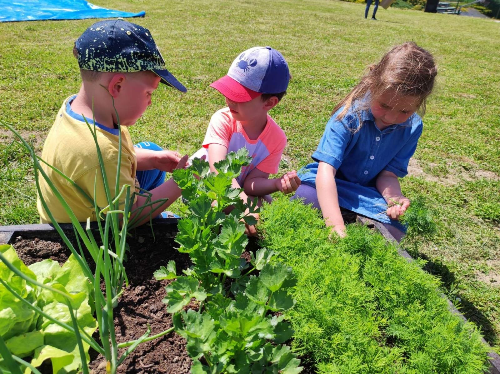 Zdjęcie w galerii na portalu naszraciborz.pl: Innowacja pedagogiczna w rudnickim przedszkolu wiadomości z regionu