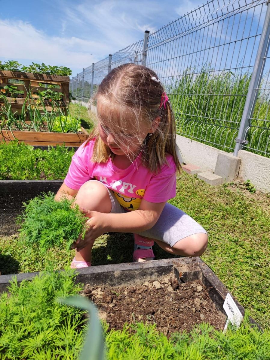 Zdjęcie w galerii na portalu naszraciborz.pl: Innowacja pedagogiczna w rudnickim przedszkolu wiadomości z regionu