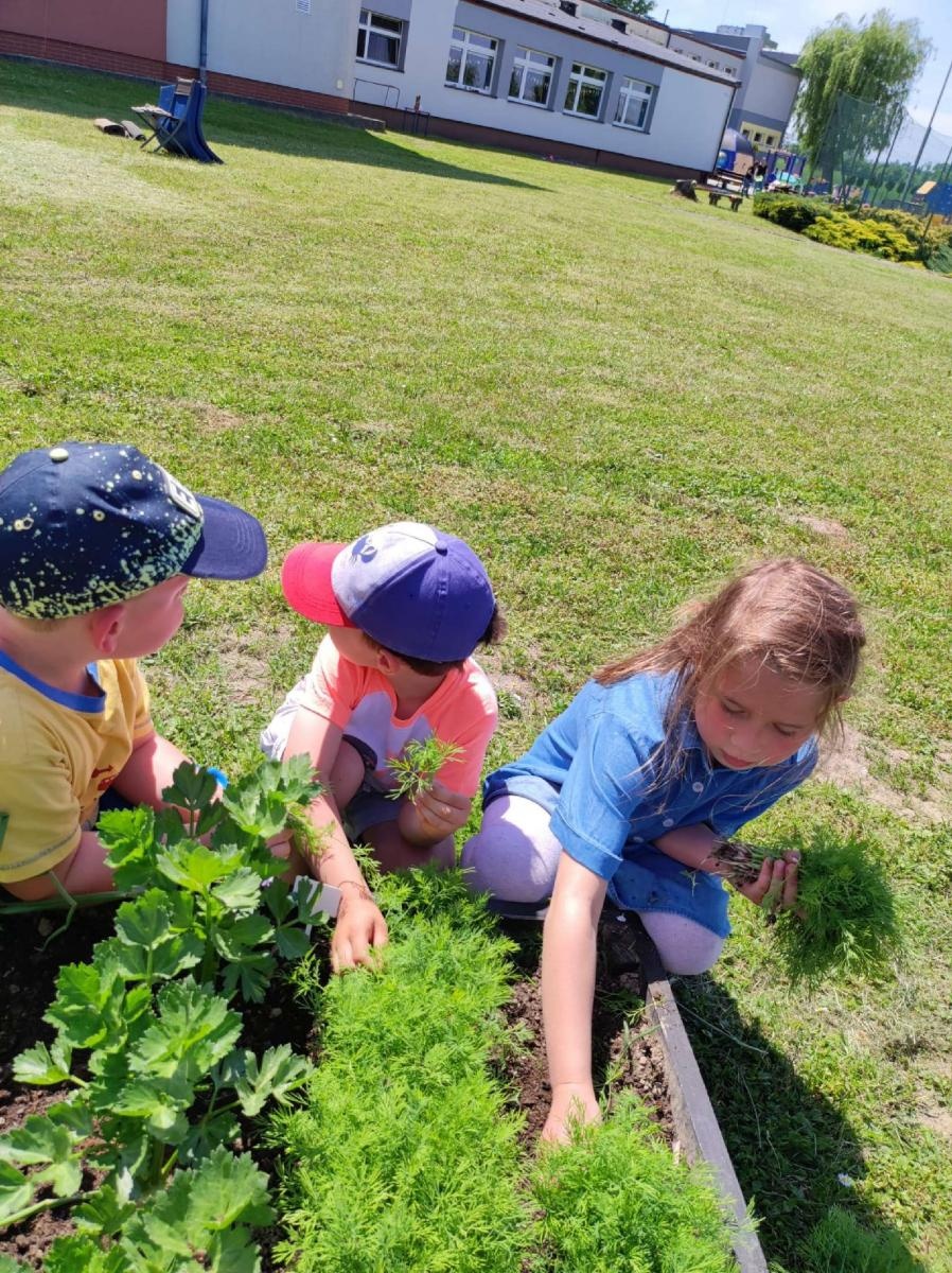 Zdjęcie w galerii na portalu naszraciborz.pl: Innowacja pedagogiczna w rudnickim przedszkolu wiadomości z regionu