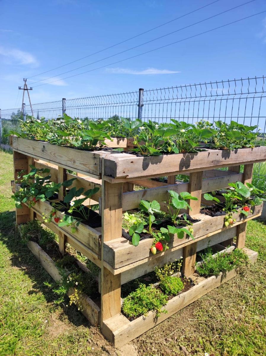 Zdjęcie w galerii na portalu naszraciborz.pl: Innowacja pedagogiczna w rudnickim przedszkolu wiadomości z regionu