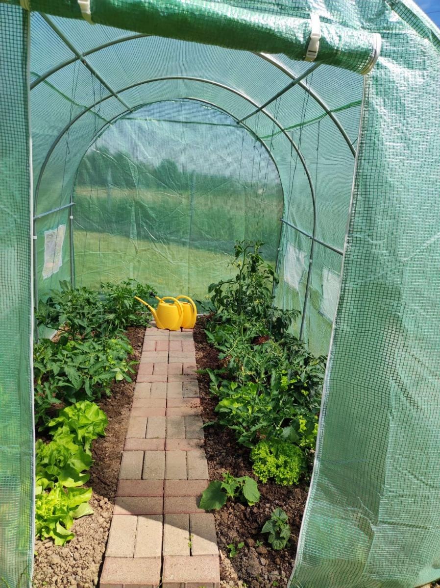 Zdjęcie w galerii na portalu naszraciborz.pl: Innowacja pedagogiczna w rudnickim przedszkolu wiadomości z regionu