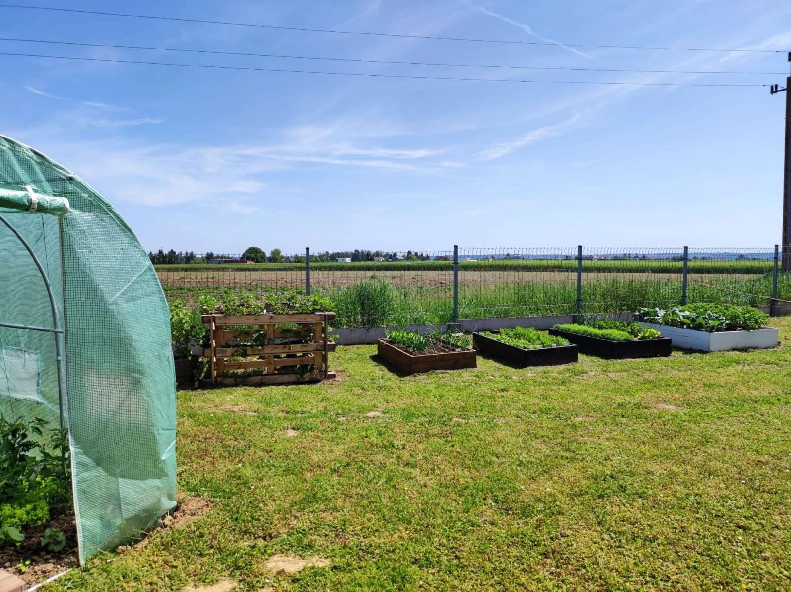 Zdjęcie w galerii na portalu naszraciborz.pl: Innowacja pedagogiczna w rudnickim przedszkolu wiadomości z regionu