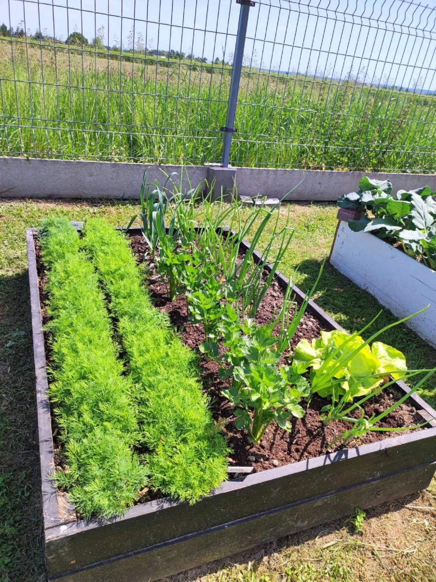 Zdjęcie w galerii na portalu naszraciborz.pl: Innowacja pedagogiczna w rudnickim przedszkolu wiadomości z regionu