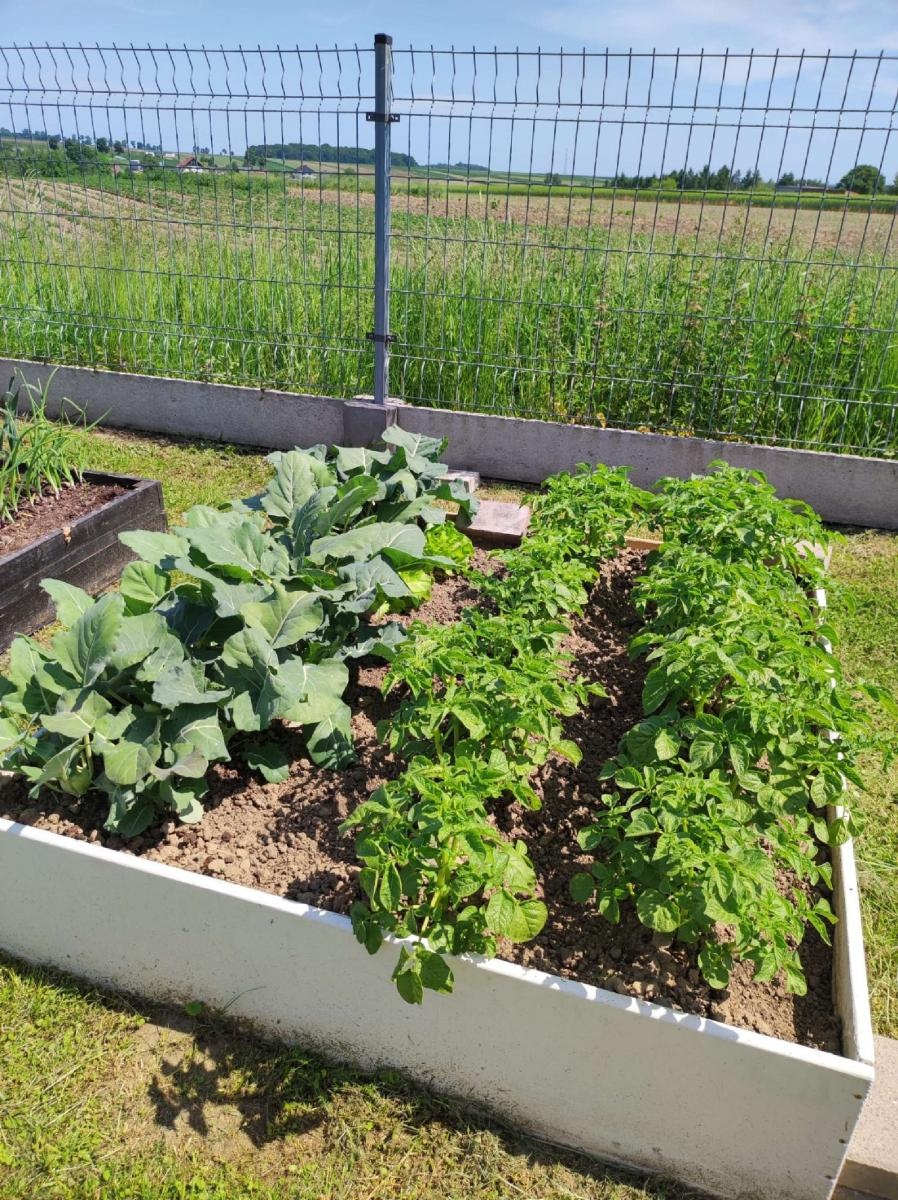 Zdjęcie w galerii na portalu naszraciborz.pl: Innowacja pedagogiczna w rudnickim przedszkolu wiadomości z regionu
