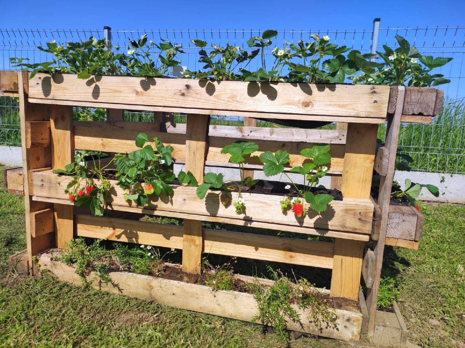 Zdjęcie w galerii na portalu naszraciborz.pl: Innowacja pedagogiczna w rudnickim przedszkolu wiadomości z regionu