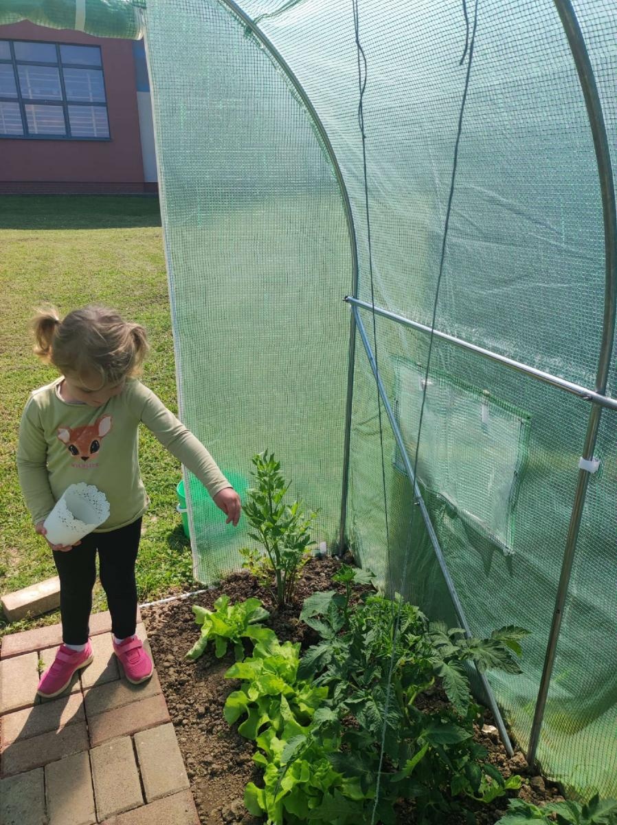 Zdjęcie w galerii na portalu naszraciborz.pl: Innowacja pedagogiczna w rudnickim przedszkolu wiadomości z regionu