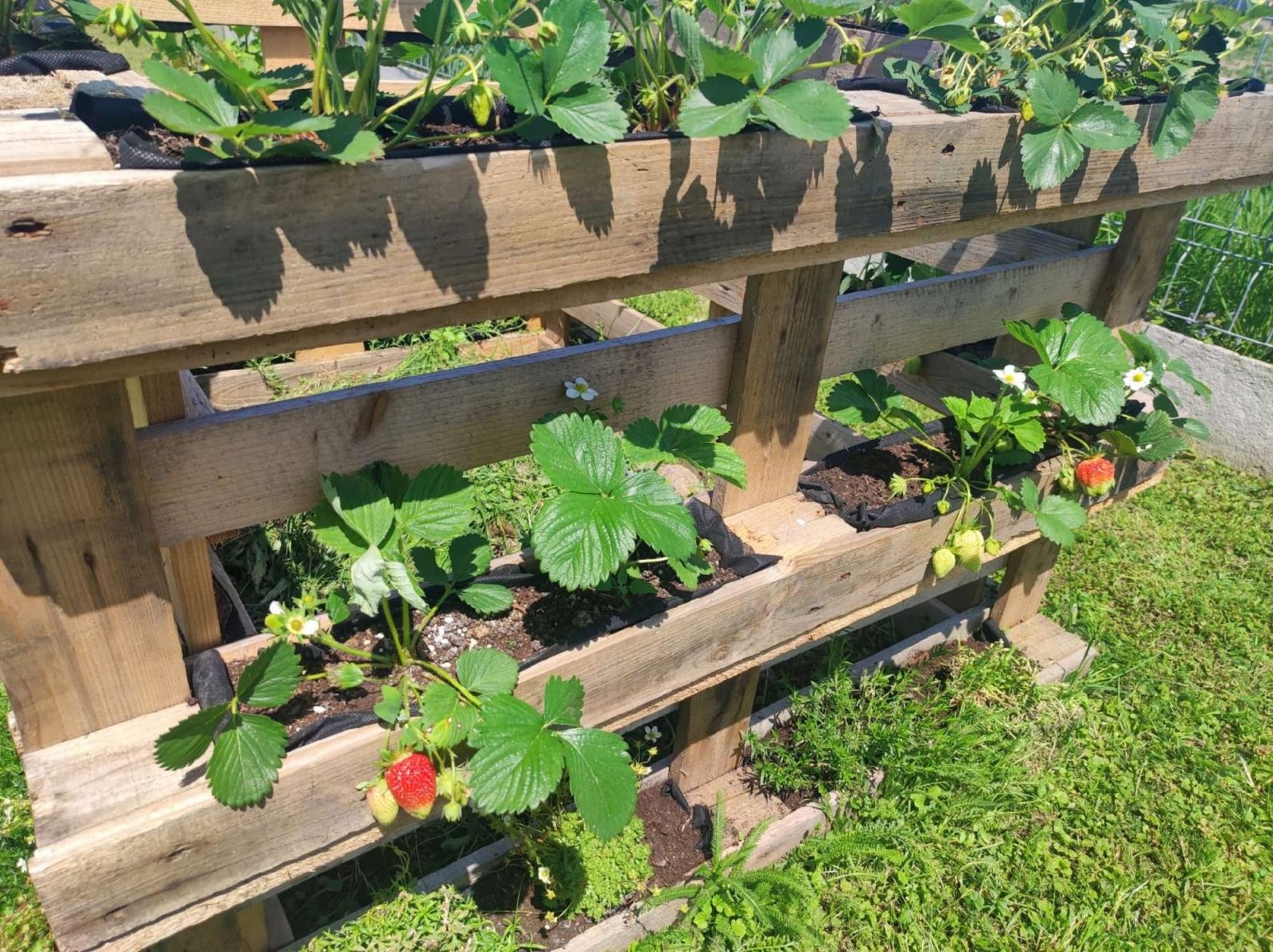 Zdjęcie w galerii na portalu naszraciborz.pl: Innowacja pedagogiczna w rudnickim przedszkolu wiadomości z regionu