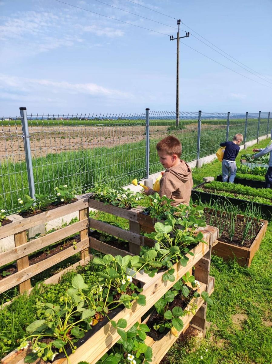 Zdjęcie w galerii na portalu naszraciborz.pl: Innowacja pedagogiczna w rudnickim przedszkolu wiadomości z regionu