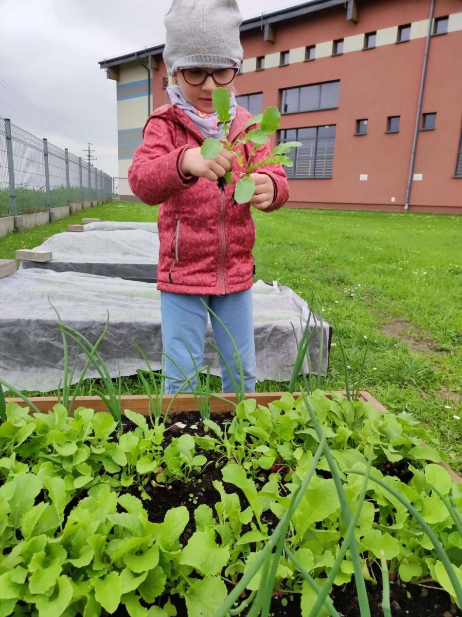 Zdjęcie w galerii na portalu naszraciborz.pl: Innowacja pedagogiczna w rudnickim przedszkolu wiadomości z regionu