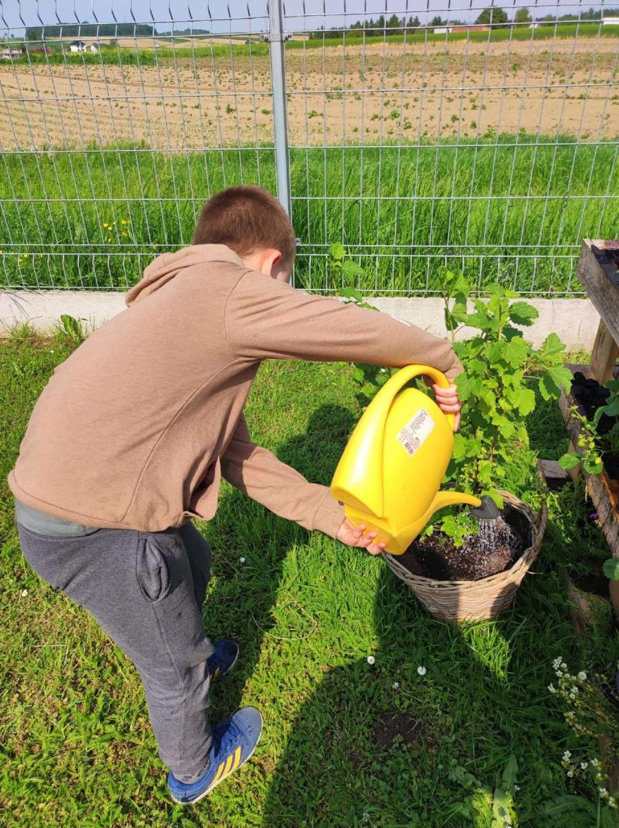 Zdjęcie w galerii na portalu naszraciborz.pl: Innowacja pedagogiczna w rudnickim przedszkolu wiadomości z regionu