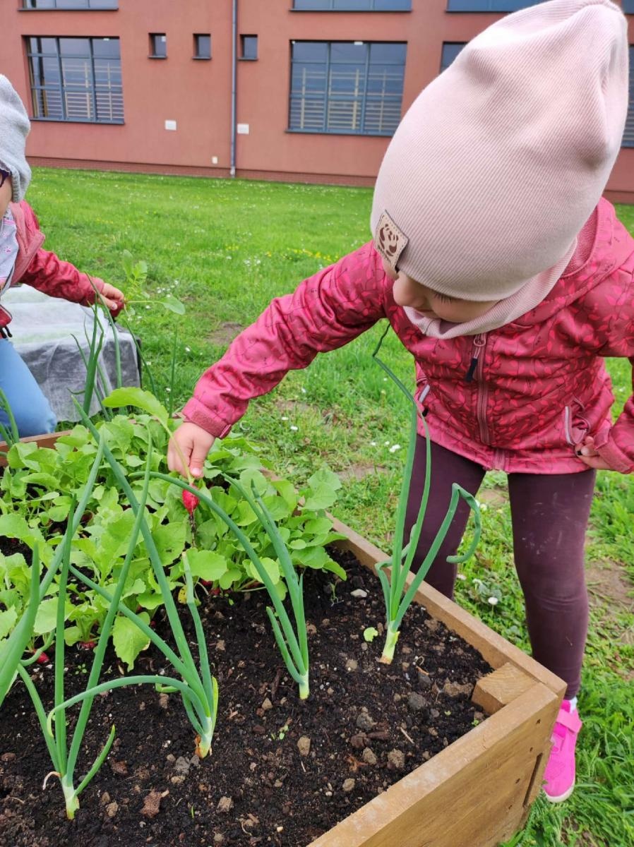 Zdjęcie w galerii na portalu naszraciborz.pl: Innowacja pedagogiczna w rudnickim przedszkolu wiadomości z regionu