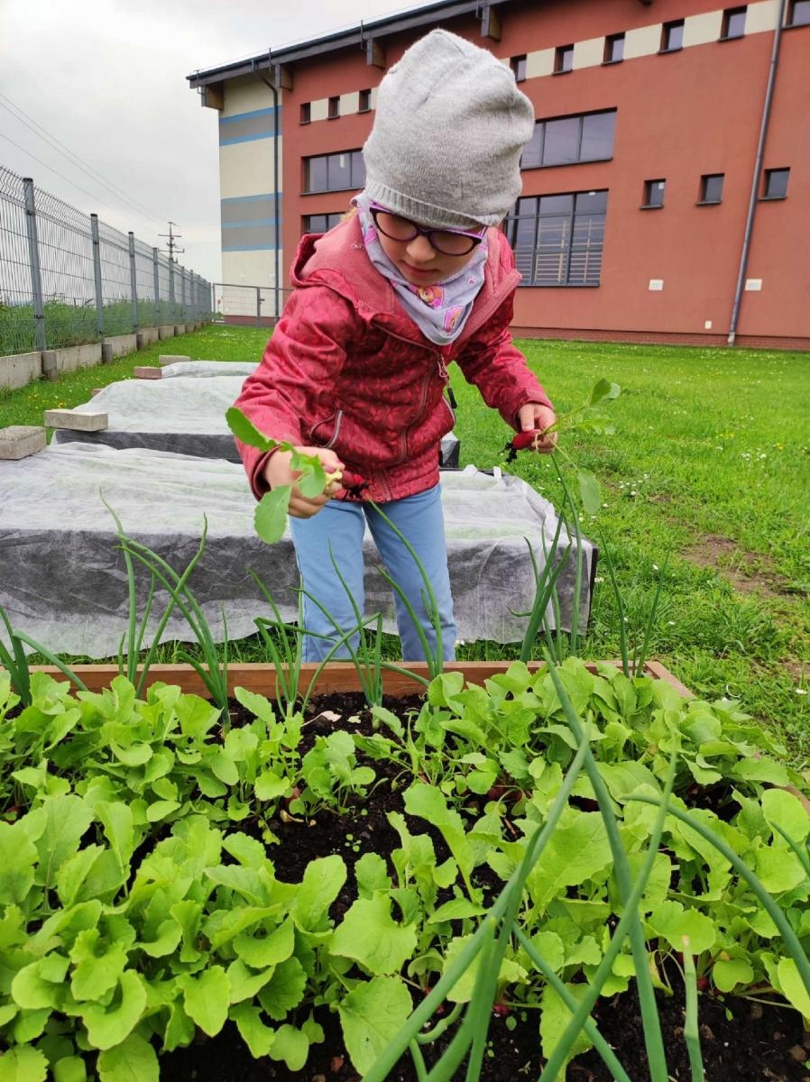 Zdjęcie w galerii na portalu naszraciborz.pl: Innowacja pedagogiczna w rudnickim przedszkolu wiadomości z regionu