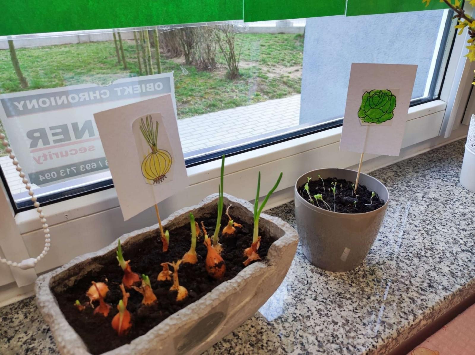 Zdjęcie w galerii na portalu naszraciborz.pl: Innowacja pedagogiczna w rudnickim przedszkolu wiadomości z regionu