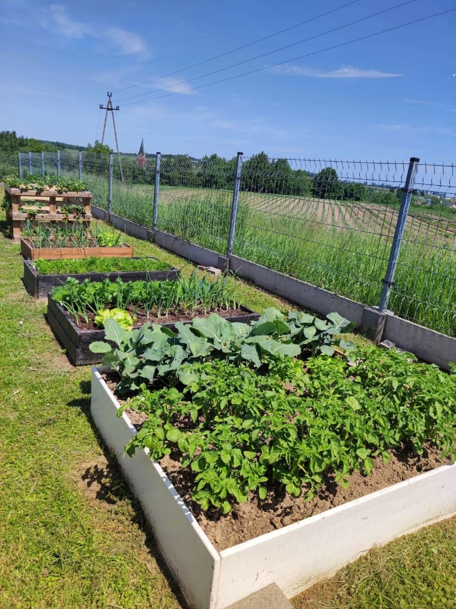 Zdjęcie w galerii na portalu naszraciborz.pl: Innowacja pedagogiczna w rudnickim przedszkolu wiadomości z regionu