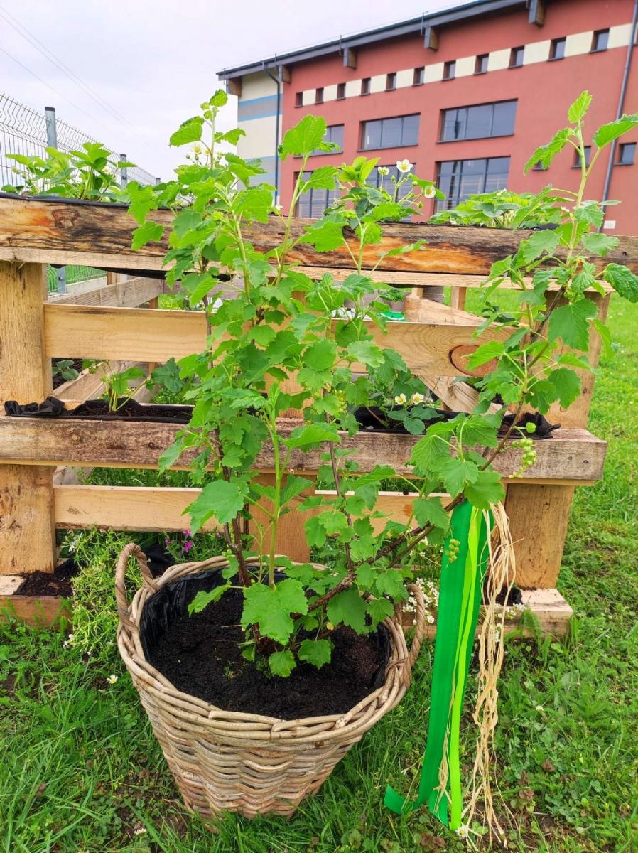Zdjęcie w galerii na portalu naszraciborz.pl: Innowacja pedagogiczna w rudnickim przedszkolu wiadomości z regionu