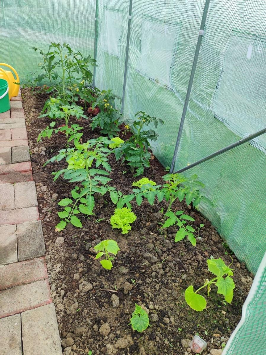 Zdjęcie w galerii na portalu naszraciborz.pl: Innowacja pedagogiczna w rudnickim przedszkolu wiadomości z regionu