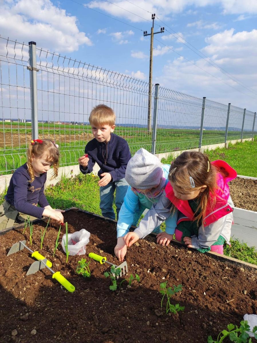 Zdjęcie w galerii na portalu naszraciborz.pl: Innowacja pedagogiczna w rudnickim przedszkolu wiadomości z regionu