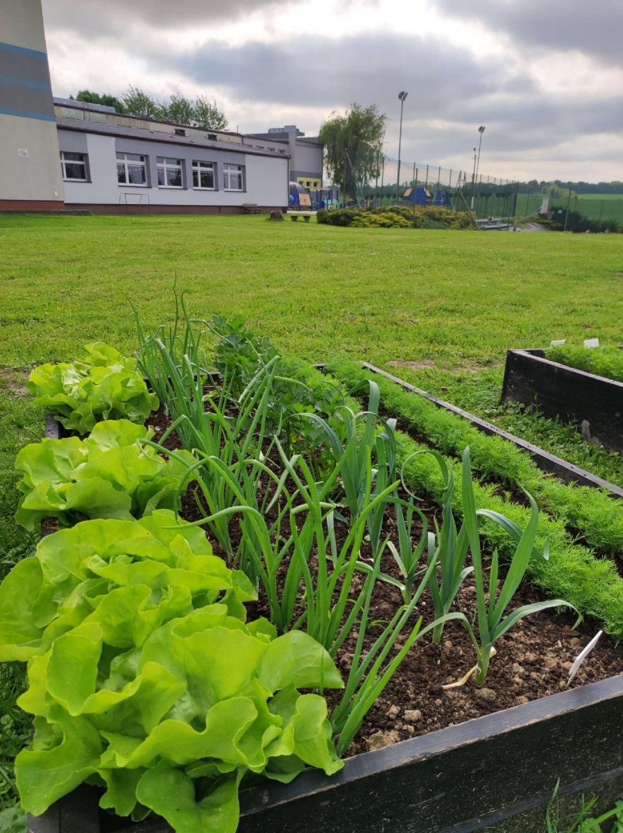 Zdjęcie w galerii na portalu naszraciborz.pl: Innowacja pedagogiczna w rudnickim przedszkolu wiadomości z regionu