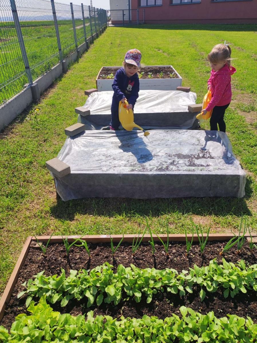 Zdjęcie w galerii na portalu naszraciborz.pl: Innowacja pedagogiczna w rudnickim przedszkolu wiadomości z regionu