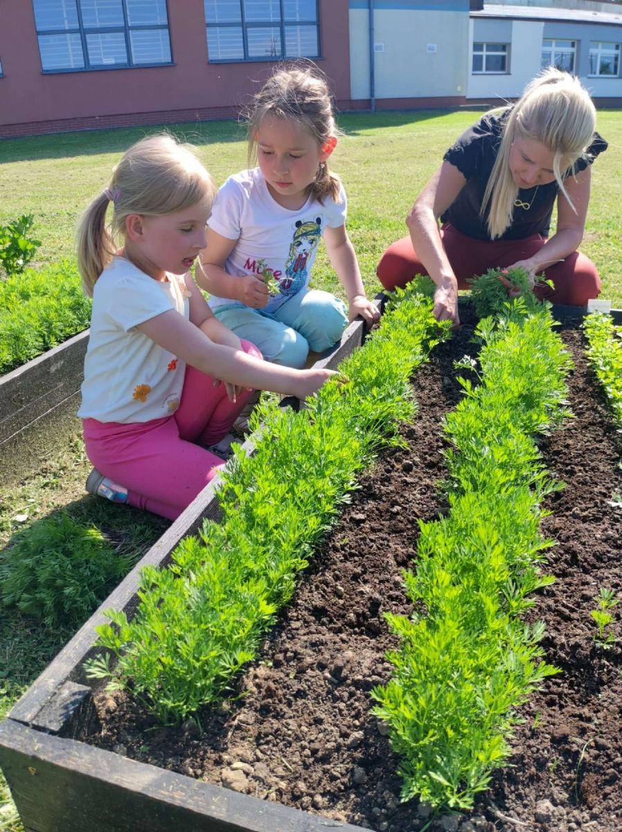 Zdjęcie w galerii na portalu naszraciborz.pl: Innowacja pedagogiczna w rudnickim przedszkolu wiadomości z regionu