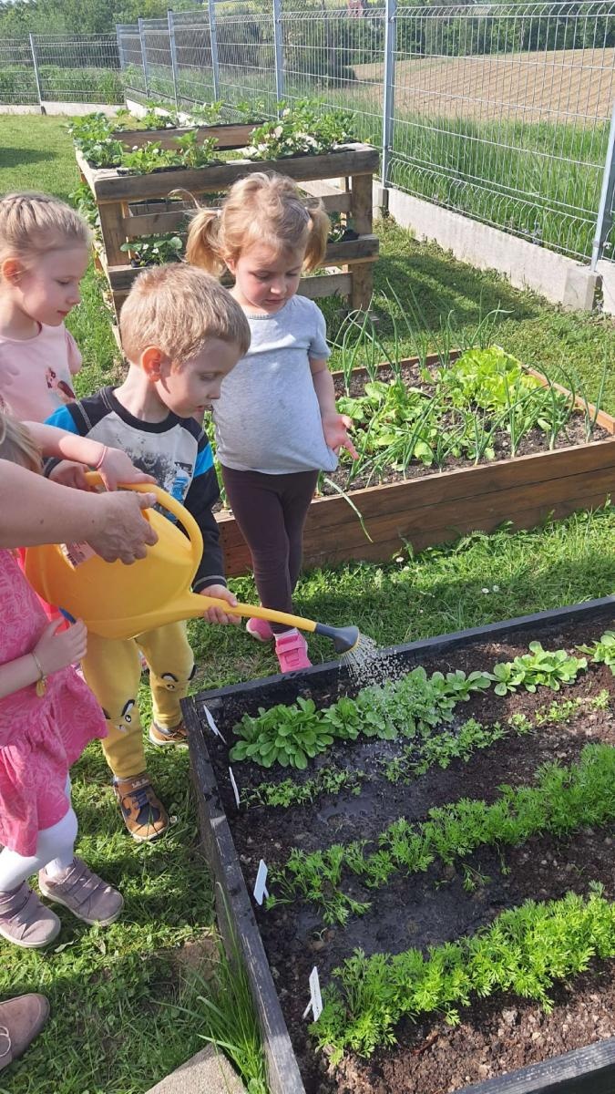 Zdjęcie w galerii na portalu naszraciborz.pl: Innowacja pedagogiczna w rudnickim przedszkolu wiadomości z regionu