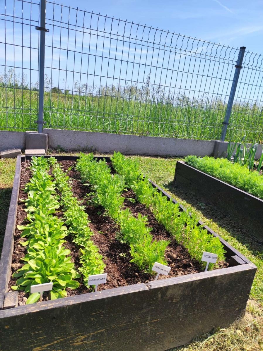 Zdjęcie w galerii na portalu naszraciborz.pl: Innowacja pedagogiczna w rudnickim przedszkolu wiadomości z regionu