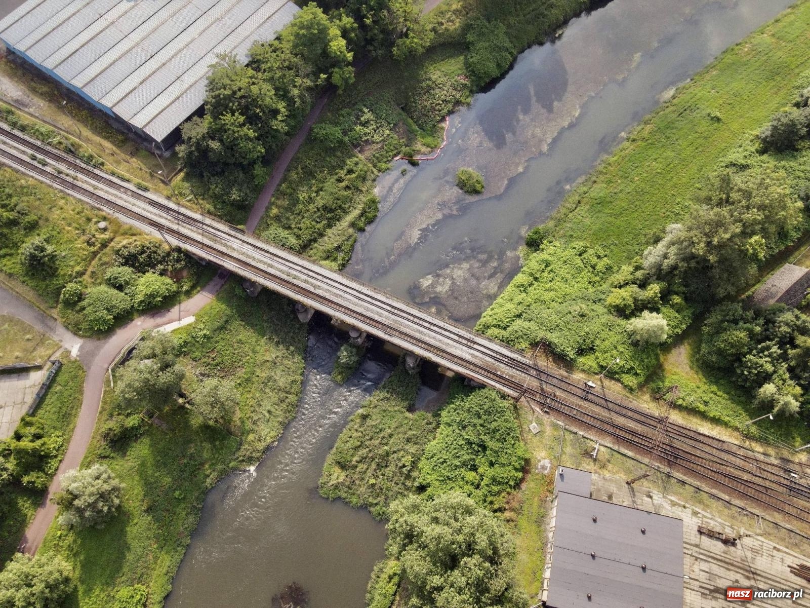 Zdjęcie w galerii na portalu naszraciborz.pl: Czy będzie powtórka z rtęci? Posłowie opozycji i niemieccy naukowcy martwią się o Odrę [FOTO LOTNICZE Z RACIBORZA] wiadomości z regionu