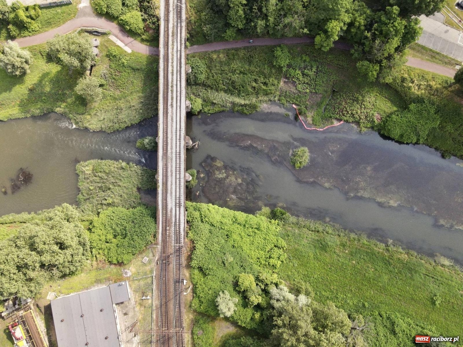 Zdjęcie w galerii na portalu naszraciborz.pl: Czy będzie powtórka z rtęci? Posłowie opozycji i niemieccy naukowcy martwią się o Odrę [FOTO LOTNICZE Z RACIBORZA] wiadomości z regionu