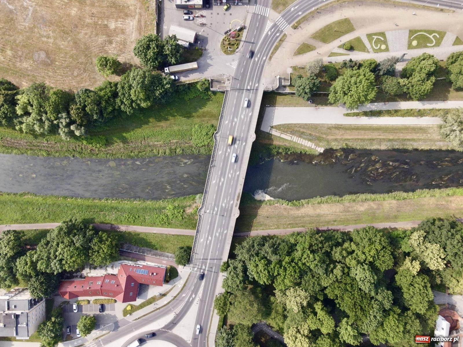 Zdjęcie w galerii na portalu naszraciborz.pl: Czy będzie powtórka z rtęci? Posłowie opozycji i niemieccy naukowcy martwią się o Odrę [FOTO LOTNICZE Z RACIBORZA] wiadomości z regionu