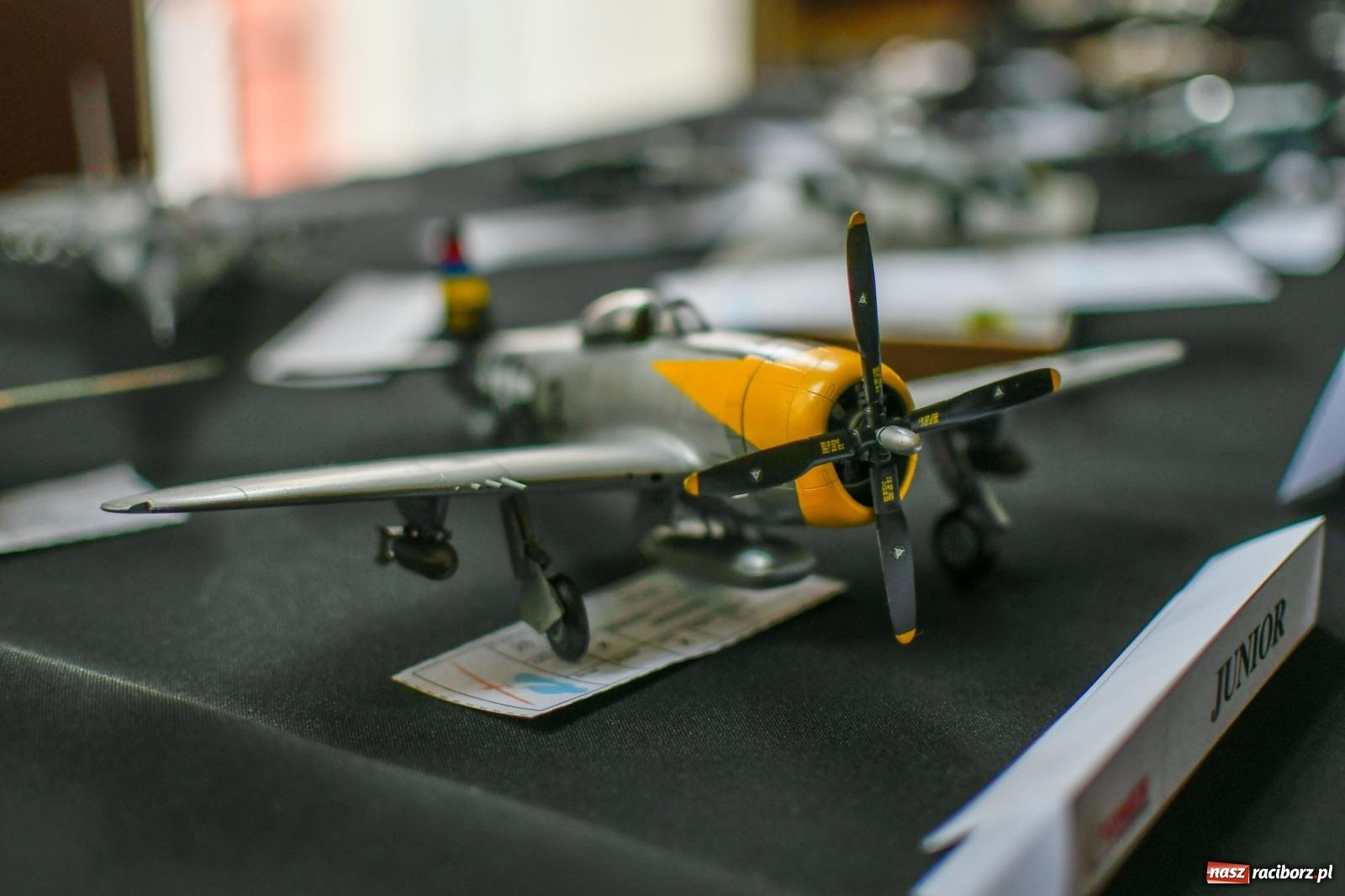 Zdjęcie w galerii na portalu naszraciborz.pl: Skrzydlatek open. Dwudniowe spotkania z modelarstwem w RCK wiadomości z regionu