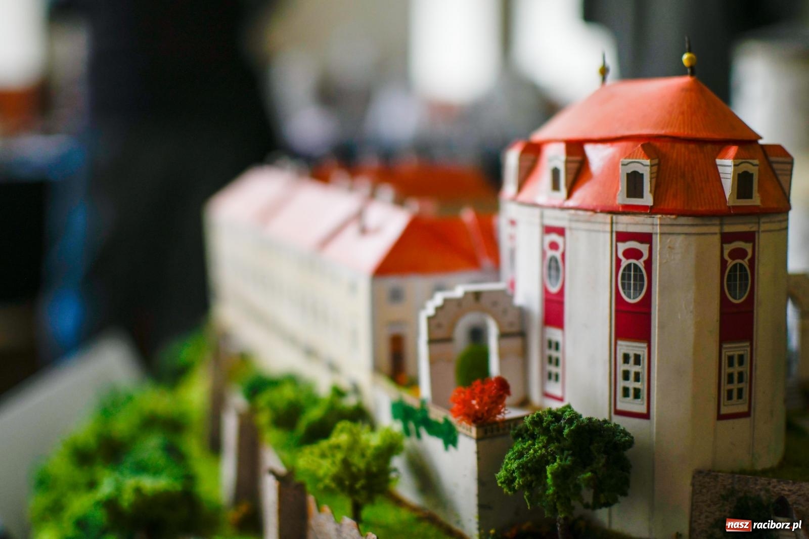 Zdjęcie w galerii na portalu naszraciborz.pl: Skrzydlatek open. Dwudniowe spotkania z modelarstwem w RCK wiadomości z regionu