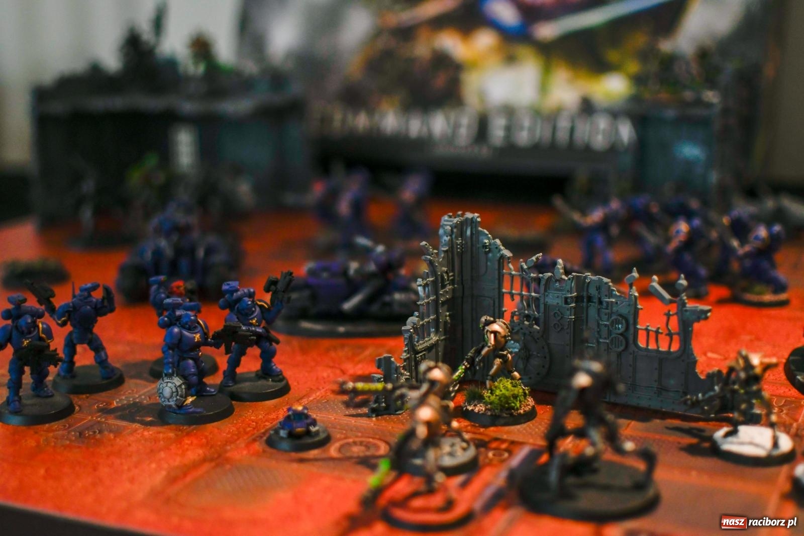 Zdjęcie w galerii na portalu naszraciborz.pl: Skrzydlatek open. Dwudniowe spotkania z modelarstwem w RCK wiadomości z regionu